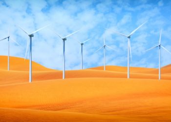 Existe-t-il une malédiction des ressources renouvelables ?